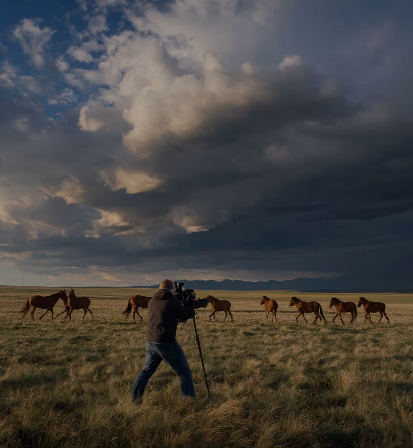 Join Our Team - Rove Pictures